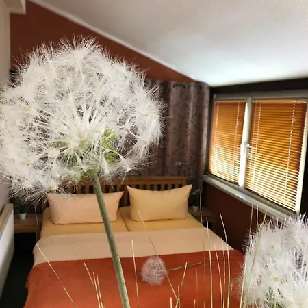 Muehlhahn Πανσιόν