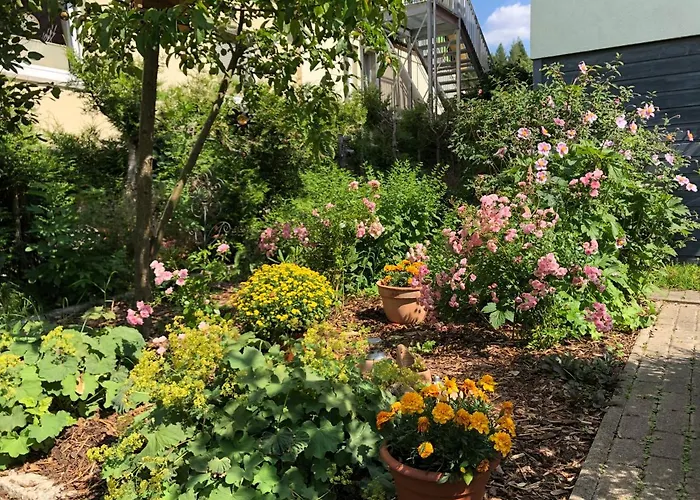 Muehlhahn Casa de hóspedes Schierke